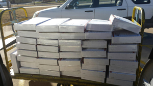 H and H Feed mail order shipment