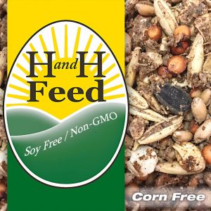 H and H Feed